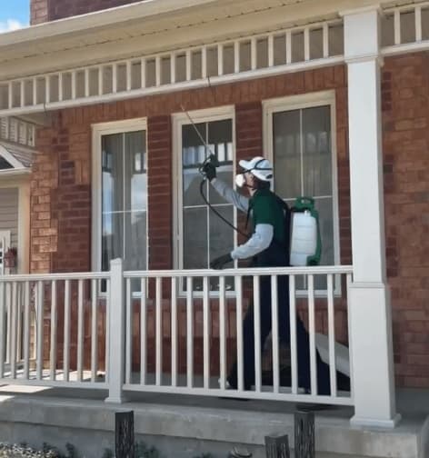 More Than Traps. A Full Rodent Elimination. — Summit Pest Control